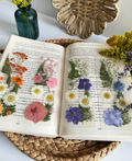 Pressed Florals Bookmark Set - 4